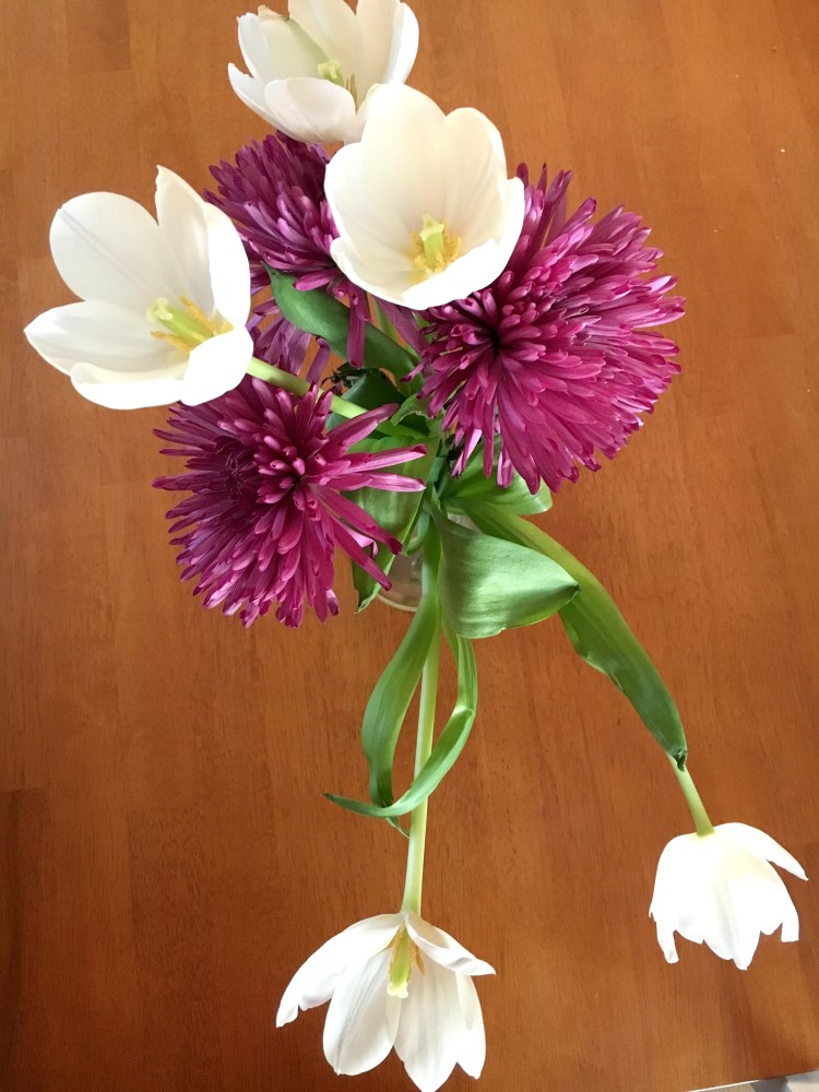 trader-joes-tulips